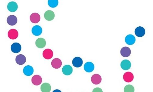 W pełni nielimitowany plan stacjonarny w Netii