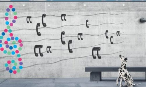 Netia Business Community Offer – najlepiej skomponowane rozwiązanie komunikacyjne dla firm