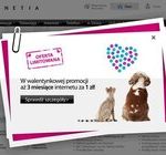 3 miesiące internetu za 1 zł na Walentynki od Netii