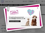 3 miesiące internetu za 1 zł na Walentynki od Netii