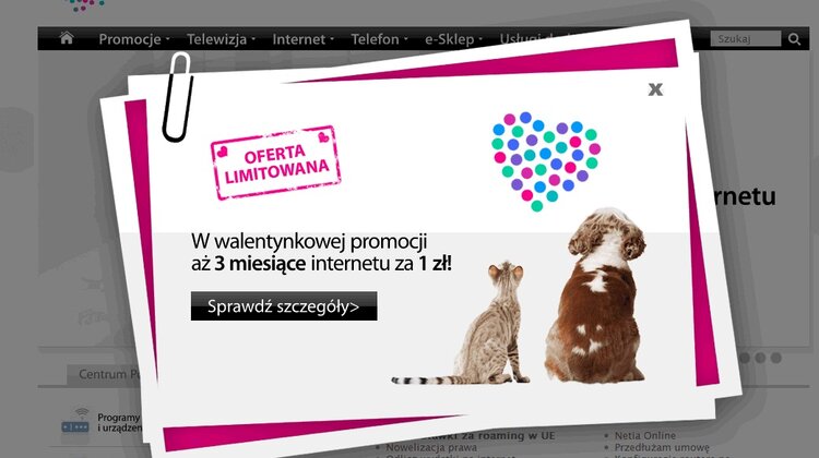 3 miesiące internetu za 1 zł na Walentynki od Netii nowe produkty, usługi, internet - Netia przygotowała specjalną, limitowaną ofertę na Walentynki – aż trzy miesiące szybkiego internetu za 1 zł oraz pakiet Telewizji Osobistej z internetem w niższej cenie przez cały okres trwania umowy.