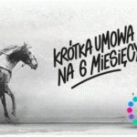 Nowe GigaOferty Netii