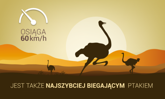 Nauka w niewielkich dawkach BIZNES, IT i technologie - Próbując sprostać wymaganiom współczesności Arabia Saudyjska stawia na promocję nauk przyrodniczych i ścisłych wśród młodego pokolenia.