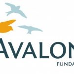 Certyfikat SSL od Certum będzie chronił dane fundacji Avalon