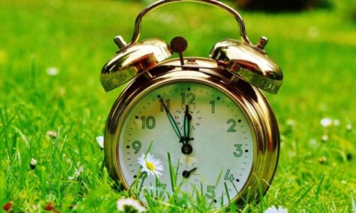 Zasięg aplikacji budzik w wakacje i pozostałe miesiące