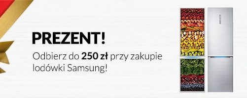 Kup lodówkę Samsung i otrzymaj atrakcyjny prezent