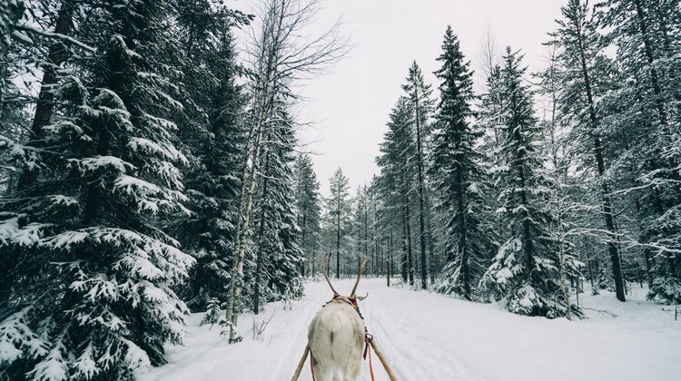 W czasie Świąt podziękujmy tym, którzy o nas dbają. Samsung z wizytą u Świętego Mikołaja wydarzenia, sprawy społeczne - Czy zastanawialiście się kiedyś jak wygląda praca Świętego Mikołaja? Ile obowiązków jest związanych z tym, żebyśmy wszyscy na czas otrzymali wymarzone prezenty? W końcu – czy ktoś z nas kiedykolwiek docenił jego pracę i podarował mu prezent? W tym roku Świętego Mikołaja spotkało miłe zaskoczenie… Ekipa Samsung wybrała się do wioski Mikołaja w Rovaniemi, aby podpytać o szczegóły najmilszej pracy na świecie i wręczyć wyjątkowy prezent.