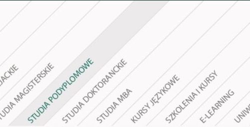 EY partnerem merytorycznym Podyplomowego Studium Zarządzania Cyberbezpieczeństwem organizowanego przez Szkołę Główną Handlową