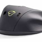 Nietypowe gryzonie – zobacz inną stronę gamingu