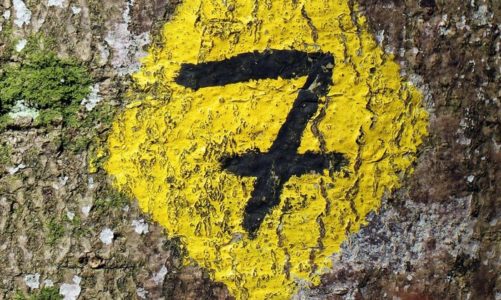 7 najważniejszych zasad budowania współczesnych newsroomów