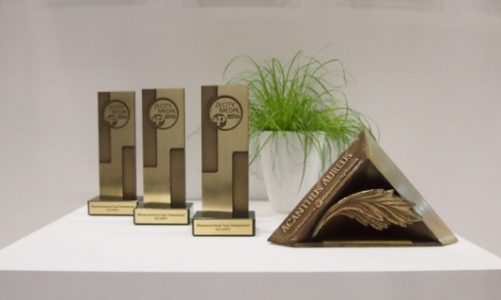 ASSA ABLOY kończy rok z dobrym wynikiem