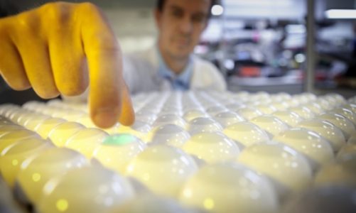 Można już głosować na FIBARO w plebiscycie European Business Awards