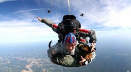 Jak firmy IT przyciągają do siebie pracowników?