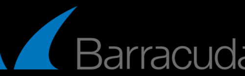 Barracuda: szybsze przywracanie systemów za pomocą narzędzia LiveBoot 2.0