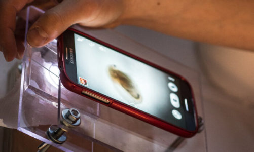 W najbliższą sobotę Noc Muzeów. Pokażemy, jak zamienić smartfona Galaxy S8 w mikroskop