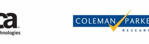 Badanie: zaawansowane procesy zarządzania interfejsami API wspierają biznes