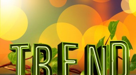 Najważniejsze trendy w branży IT BIZNES, IT i technologie - Branża nowych technologii zmienia się bardzo dynamicznie. Zarówno firmy, jak i specjaliści IT muszą szybko reagować na potrzeby rynku oraz swoich klientów.