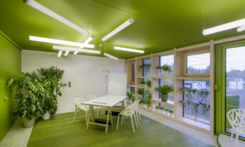 BIM w projektowaniu oświetlenia – ewolucja zamiast rewolucji