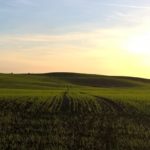 Ericsson wspiera projekty IoT (Internet of Things) na obszarach wiejskich