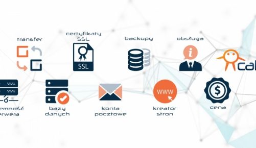 Co to jest hosting i jak wybrać najlepszy?