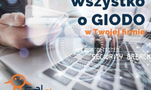 Wszystko o GIODO w Twojej firmie