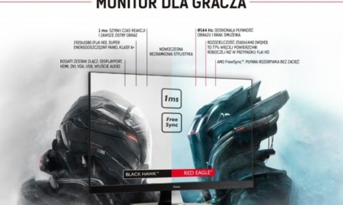 Jak wybrać monitor dla gracza?