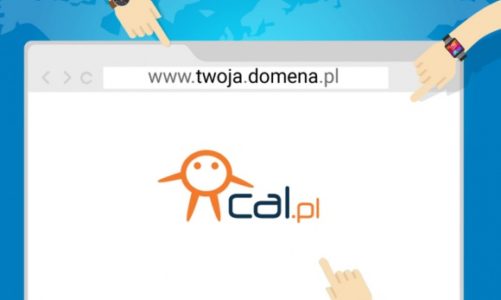 Co warto wiedzieć o domenie .PL?