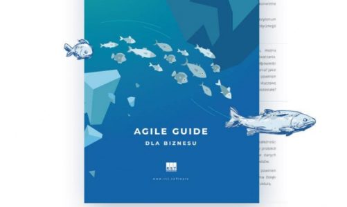 O tym jak biznes uczynić zwinnym – darmowy guidebook