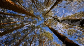 Koło zamknięte, ale z papieru. Biznes wciąż wierny niewydolnej papierologii