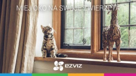 Zapewnij bezpieczeństwo swojemu futrzakowi