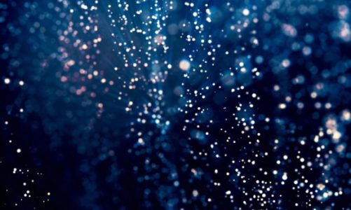 NetApp poszerza portfolio chmurowe