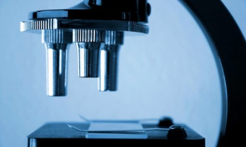 Chmurowe usługi NetApp wspierają rozwiązania medyczne z zakresu genomiki