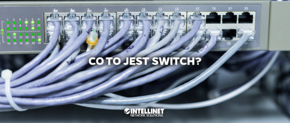 Co to jest switch? BIZNES, IT i technologie - Aby zrozumieć zawiłe kwestie skąd bierze się Internet warto najpierw poznać podstawowe urządzenia, dzięki którym możemy go na co dzień używać.