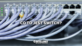Co to jest switch? BIZNES, IT i technologie - Aby zrozumieć zawiłe kwestie skąd bierze się Internet warto najpierw poznać podstawowe urządzenia, dzięki którym możemy go na co dzień używać.