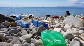 HP: firmy zaangażowane w ekologię są bardziej atrakcyjne dla pracowników