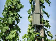 Technologia 5G w rolnictwie będzie rewolucją technologie, rolnictwo - Przed rolnictwem czas wielkich wyzwań, których pokonanie będzie wymagało wprowadzenia nowych technologii, takich jak 5G. Kilkudziesięciokrotnie wyższa prędkość transmisji danych w porównaniu z LTE, ogromna przepustowość łącza i praktycznie brak opóźnień to główne wyróżniki sieci 5G, która jest już dostępna w Polsce. Dzięki łączności tysięcy urządzeń i przedmiotów wizja autonomicznego i precyzyjnego rolnictwa staje się realna.