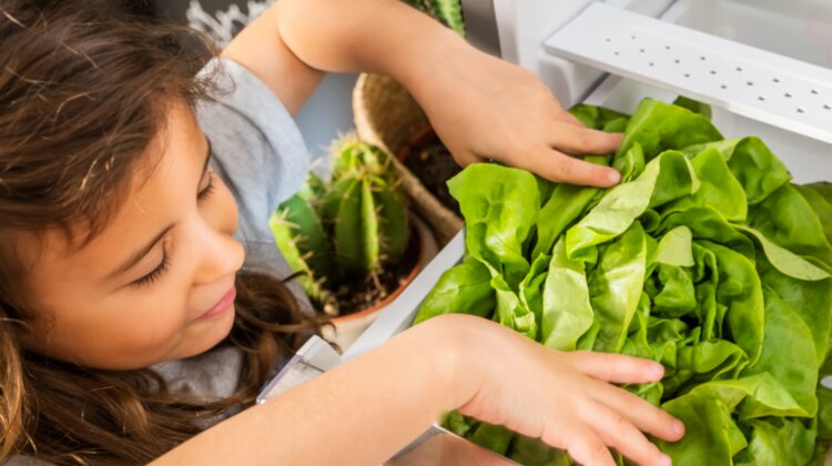 Less waste w Twojej kuchni styl życia, sprawy społeczne - Trend na bycie zero waste z dnia na dzień zyskuje więcej zwolenników. Nic dziwnego – doskonale zdajemy sobie sprawę ze zmian klimatycznych, na które mają wpływ między innymi ilości plastiku i innych opakowań produkowanych przez nas każdego dnia. Jeszcze gorsze jest marnowanie jedzenia: Polska zajmuje piąte miejsce w Unii Europejskiej ze względu na wyrzucaną żywność (CBOS 2018). Statystycznie każdy z nas rocznie marnuje 235 kg jedzenia. Możemy jednak z tym walczyć i drobnymi kroczkami zmieniać te niechlubne statystyki, by wszystkim żyło się lepiej.