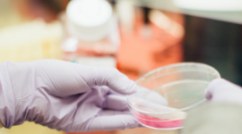 Codec Polska oraz ITP S.A., wdrożenie rozwiązania do controllingu.