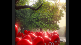 Heaveness App. Posadź wirtualne drzewo, by uczcić pamięć o tych, którzy odeszli