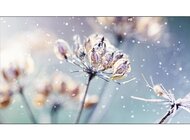 Samsung VMR-U – Video wall z wbudowanym SoC technologie, towary konsumpcyjne - Samsung prezentuje monitor profesjonalny z serii VMR-U o przekątnej 46 cali, który idealnie sprawdzi się do budowy ścian wideo, bez konieczności zakupu dodatkowego playera lub matrycy. Dzięki wbudowaniu w monitor o cienkich ramkach playera, redukujemy koszt instalacji. Jest to zasługa SoC (System on Chip), który pozwala stworzyć jeden duży ekran z kilku monitów i zarządzać nim z systemu Magic Info. Technologia ta może być wykorzystana m.in. w placówkach handlowych, hotelowych lobby, lotniskach czy restauracjach.