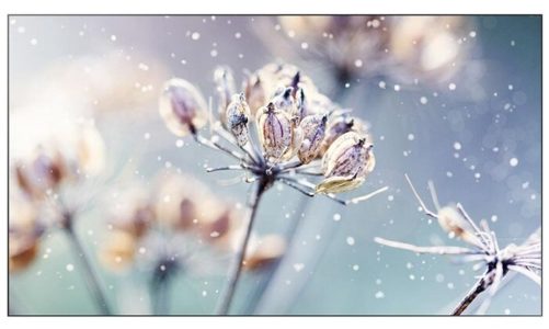 Samsung VMR-U – Video wall z wbudowanym SoC