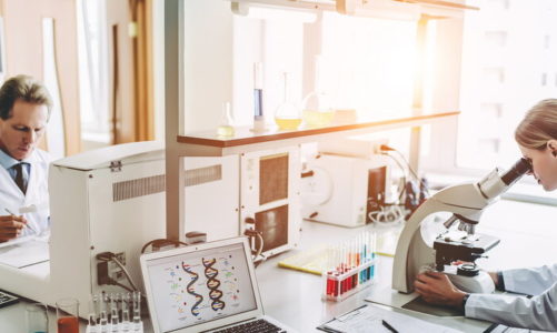 Zwycięskie projekty SGGW