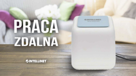 Łatwa praca zdalna z Intellinet