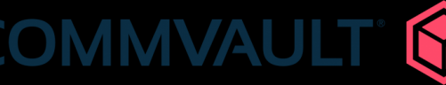 Commvault został uznany przez HPE Partnerem roku 2020 w o