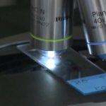 Sztuczna inteligencja dopasuje skuteczny lek i jego dawkę w terapii nowotworowej. Nowa platforma zamiast laboratorium wykorzystuje dane zgromadzone w chmurze [DEPESZA]