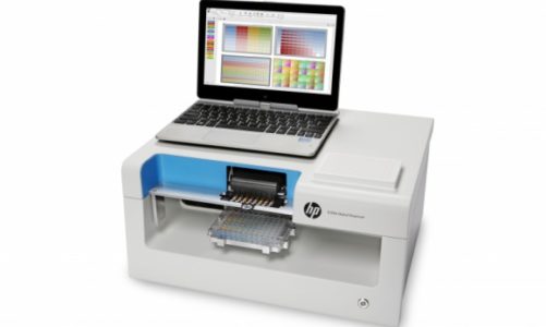 Raport IDC MarketScape. HP liderem wśród firm technologicznych